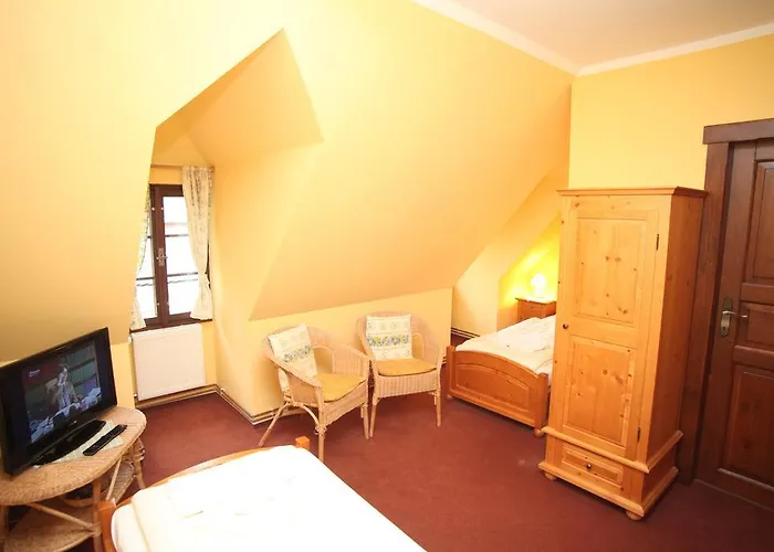 Penzion Spaleny Mlyn 3*